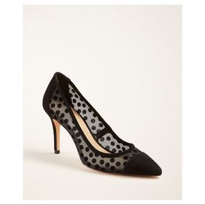 Ann Taylor Wyatt Polka Dot Suede Pumps
